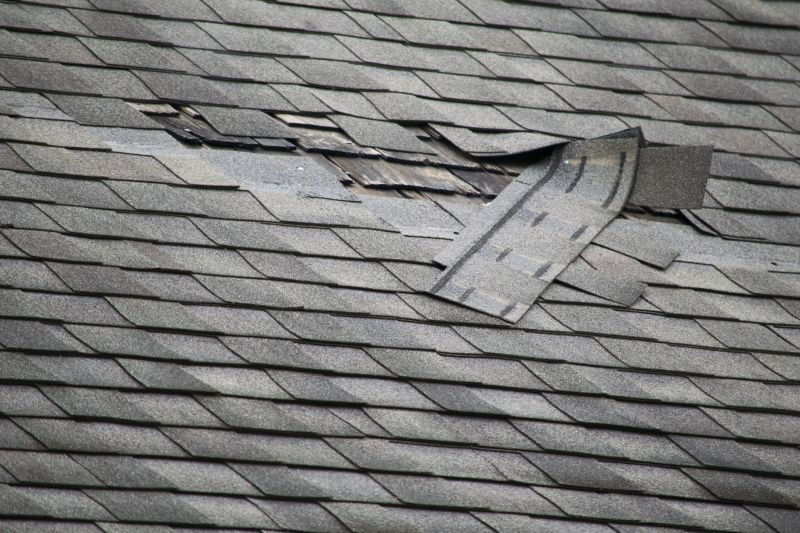 Roof Repair Projects
